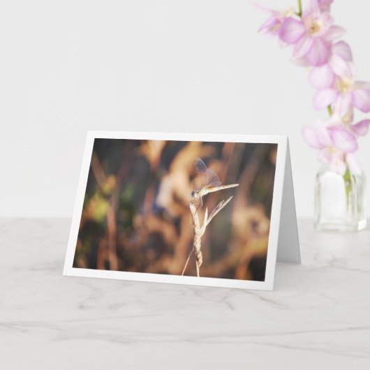 Dragonfly auf Stem Portrait Karte (Orchidee)