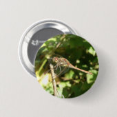 Dragonfly auf Twig Button (Vorne & Hinten)