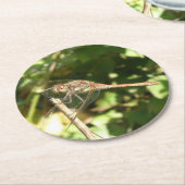 Dragonfly auf Twig Paper-Untersetzer Runder Pappuntersetzer (Angewinkelt)