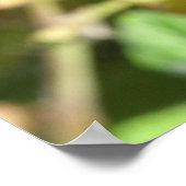 Dragonfly auf Twig Print Poster (Ecke)