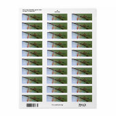 Dragonfly auf Wire Fence Nature-Adresse (Vorne)