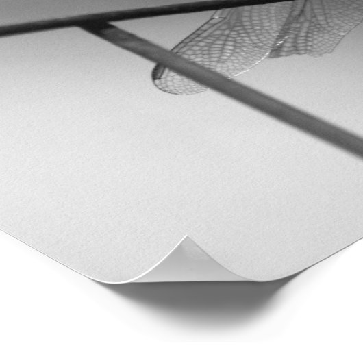 Dragonfly auf Zaun Schwarz-Weiß Poster (Ecke)