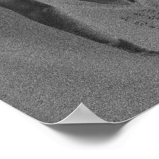 Dragonfly Back Print Poster (Ecke)