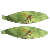 Dragonfly Basketball (Panele)