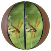 Dragonfly Basketball (Vertikal)