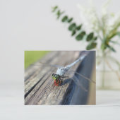 Dragonfly Blank Postkarte (Stehend Vorderseite)