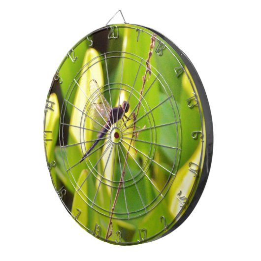 Dragonfly Blau und schwarz auf Gras. Dartscheibe (Vorderseite rechts)