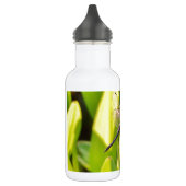 Dragonfly Blau und schwarz auf Gras. Edelstahlflasche (Links)