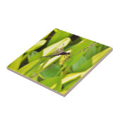 Dragonfly Blau und schwarz auf Gras. Fliese (Seite)