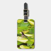 Dragonfly Blau und schwarz auf Gras. Gepäckanhänger (Vorderseite vertikal)