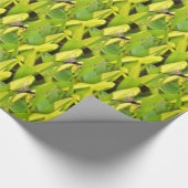 Dragonfly Blau und schwarz auf Gras. Geschenkpapier (Ecke)