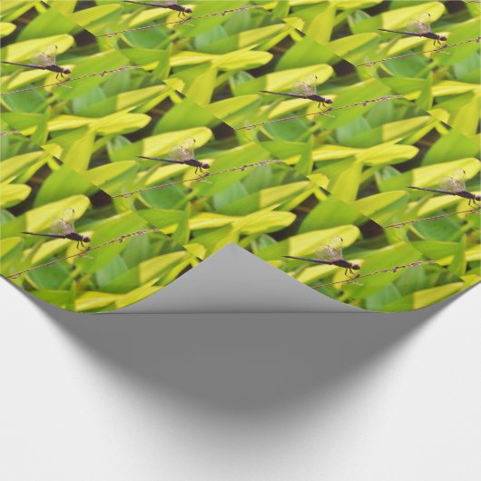 Dragonfly Blau und schwarz auf Gras. Geschenkpapier (Ecke)