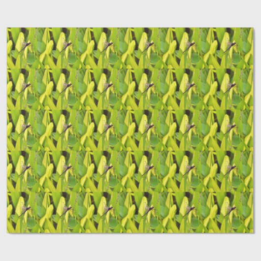 Dragonfly Blau und schwarz auf Gras. Geschenkpapier (Flach)