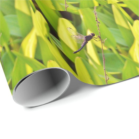 Dragonfly Blau und schwarz auf Gras. Geschenkpapier (Rolleneckpunkt)