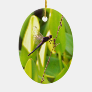 Dragonfly Blau und schwarz auf Gras. Keramik Ornament