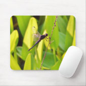 Dragonfly Blau und schwarz auf Gras. Mousepad (Mit Mouse)
