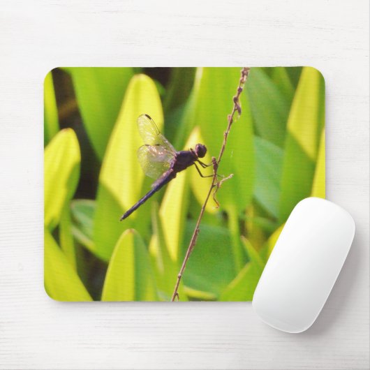Dragonfly Blau und schwarz auf Gras. Mousepad (Mit Mouse)