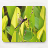 Dragonfly Blau und schwarz auf Gras. Mousepad (Vorne)