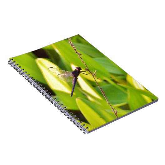 Dragonfly Blau und schwarz auf Gras. Notizblock (Rechte Seite)