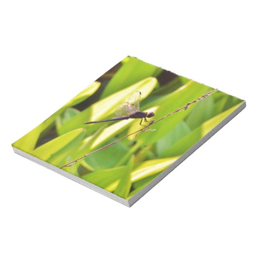 Dragonfly Blau und schwarz auf Gras. Notizblock (Rotiert)