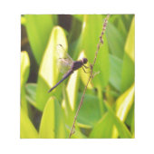 Dragonfly Blau und schwarz auf Gras. Notizblock (Vorderseite)