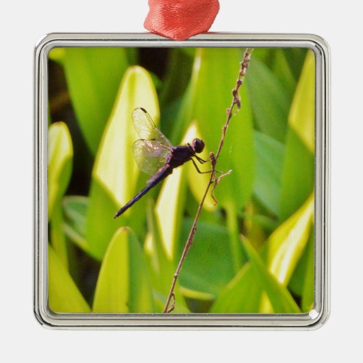 Dragonfly Blau und schwarz auf Gras. Ornament Aus Metall (Vorne)