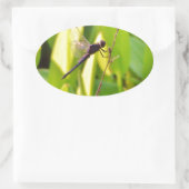 Dragonfly Blau und schwarz auf Gras. Ovaler Aufkleber (Tasche)
