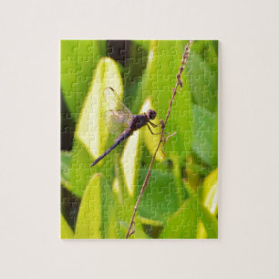 Dragonfly Blau und schwarz auf Gras. Puzzle