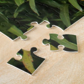 Dragonfly Bridge and lake, Singapur Puzzle (Seite)