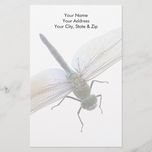 Dragonfly Briefpapier (Vorderseite)