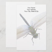 Dragonfly Briefpapier (Vorne/Hinten)