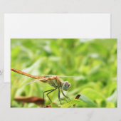 Dragonfly Briefpapier (Vorne/Hinten)