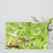 Dragonfly Briefpapier (Stehend Vorderseite)