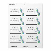 Dragonfly-Buch (Vorne)