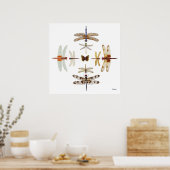 Dragonfly Bullseye Graphics Poster (Küche)