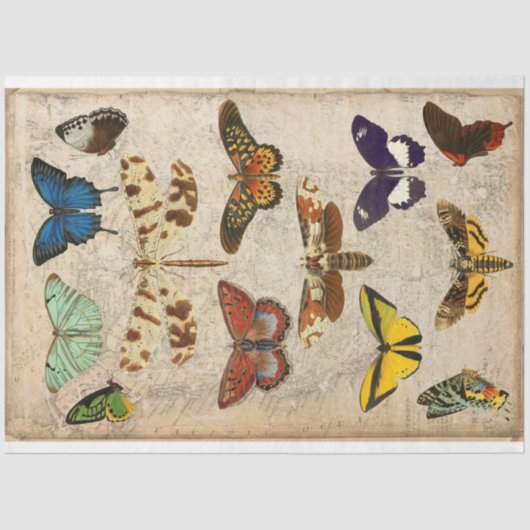 Dragonfly Butterfly-Modeputin Seidenpapier (Vorderseite)