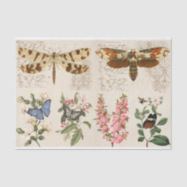 Dragonfly Butterfly Moth Blume Seidenpapier