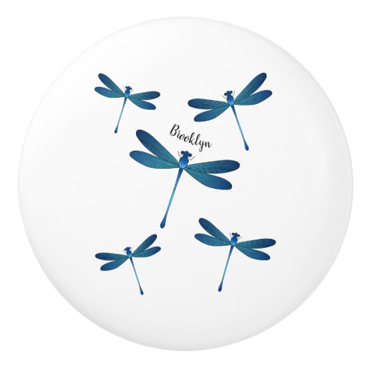 Dragonfly-Cartoon Keramikknauf (Vorderseite)