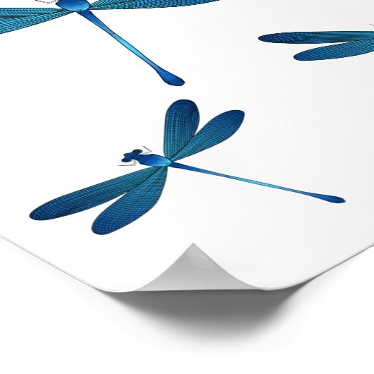 Dragonfly-Cartoon Poster (Ecke)