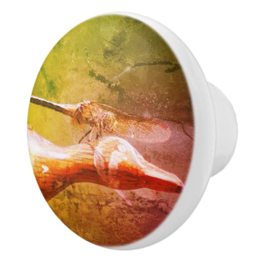 Dragonfly Co Pilot Insekt Abstrakt Grunge  Keramikknauf (Rechts)