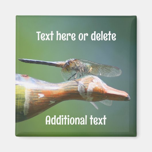 Dragonfly Co Pilot Nature Personalized Magnet (Vorne)