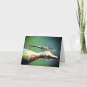 Dragonfly Co Pilot Nature Photography  (Vorderseite)