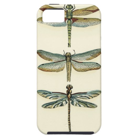 Dragonfly Collection von Chariklia Zarris Case-Mate iPhone Hülle (Rückseite)