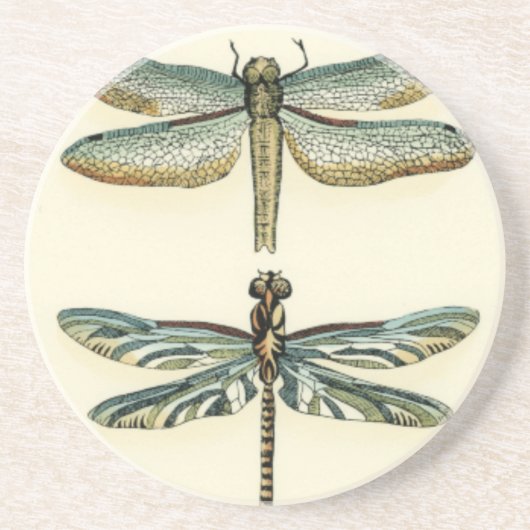 Dragonfly Collection von Chariklia Zarris Getränkeuntersetzer (Vorne)