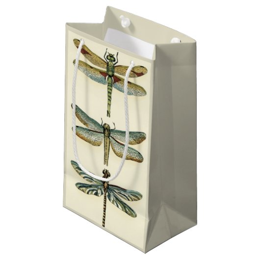 Dragonfly Collection von Chariklia Zarris Kleine Geschenktüte (Vorderseite Schrägansicht)