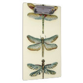 Dragonfly Collection von Chariklia Zarris Klemmbrett (Rechts)