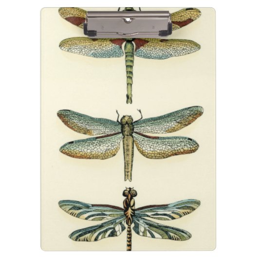 Dragonfly Collection von Chariklia Zarris Klemmbrett (Vorderseite)