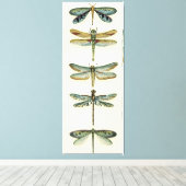 Dragonfly Collection von Chariklia Zarris Leinwanddruck (Insitu (Holzboden))
