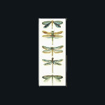 Dragonfly Collection von Chariklia Zarris Leinwanddruck<br><div class="desc">Eine Libelle-Sammlung, die jeden seltsamen Naturfeffer würdig ist, ein atemberaubendes Stück von Chariklia Zarris. Lege es an deine Wand oder gib es als Geschenk!</div>