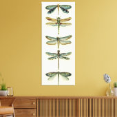 Dragonfly Collection von Chariklia Zarris Leinwanddruck (Insitu (Wohnzimmer))